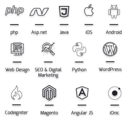 Live Project Training